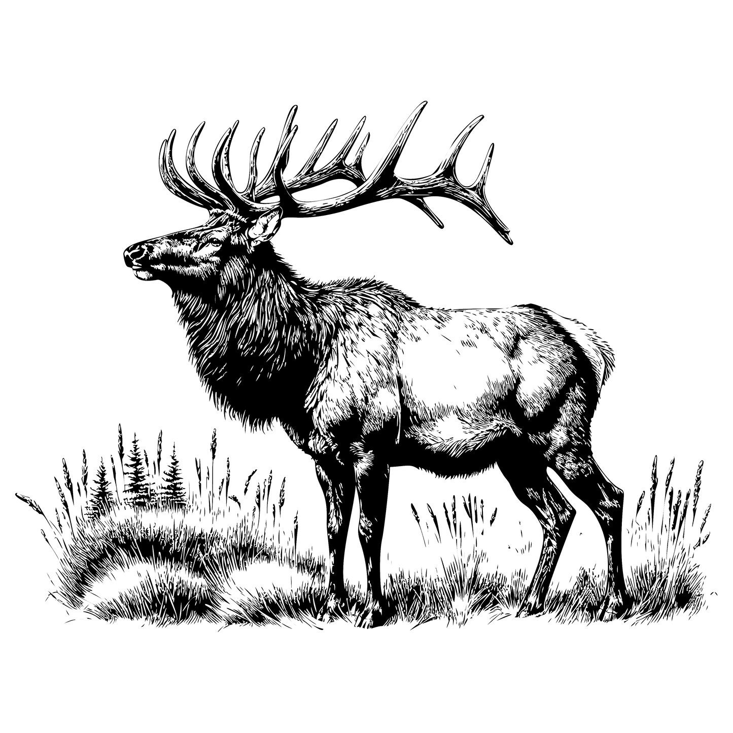Elk Design