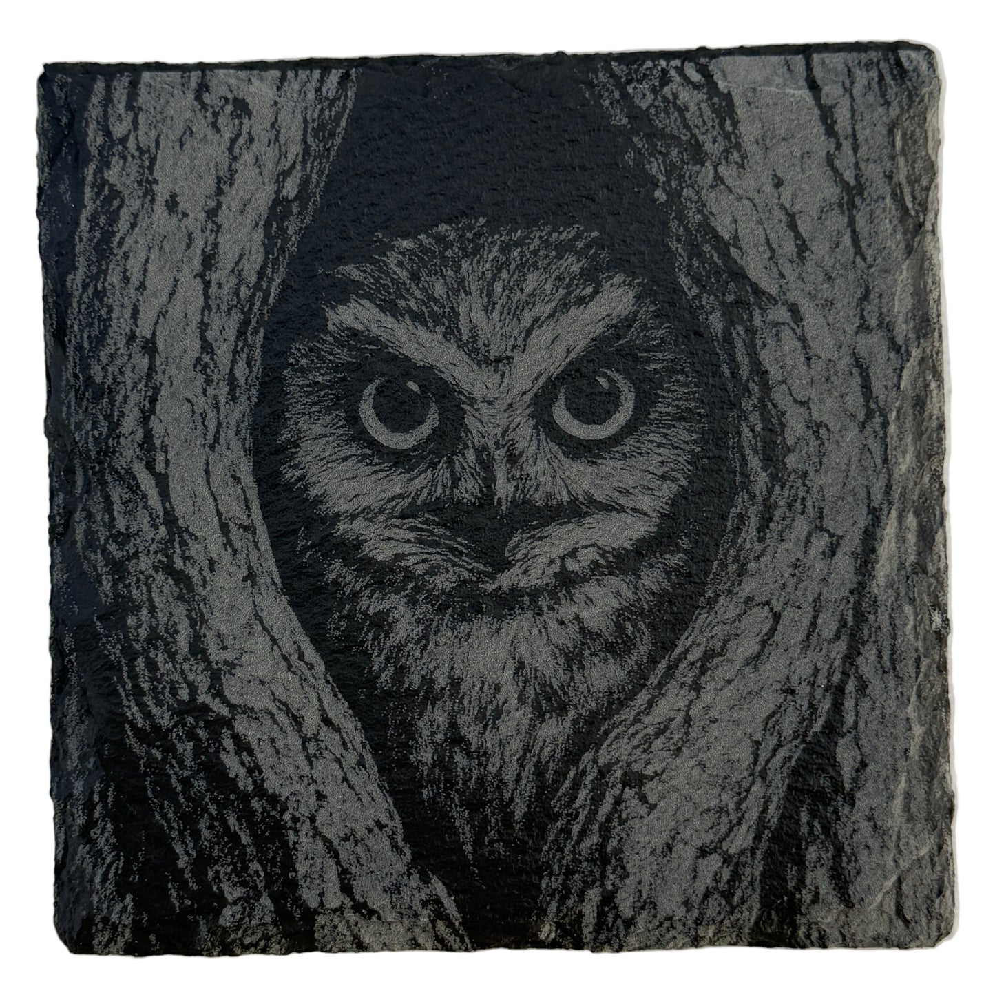 Owl Slate Coaster