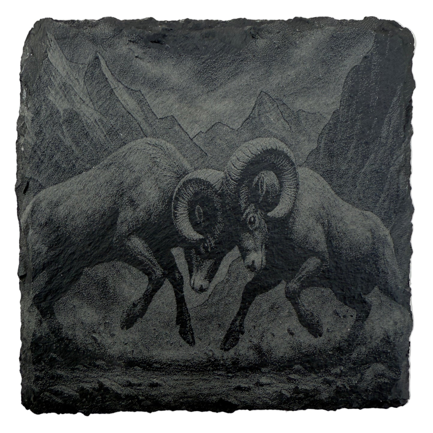 Bighorn Sheep Slate Coaster