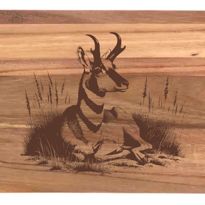 Antelope Design