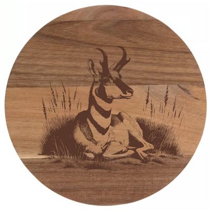 Antelope Design