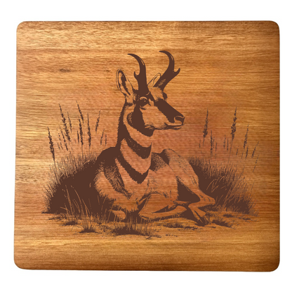 Antelope Design