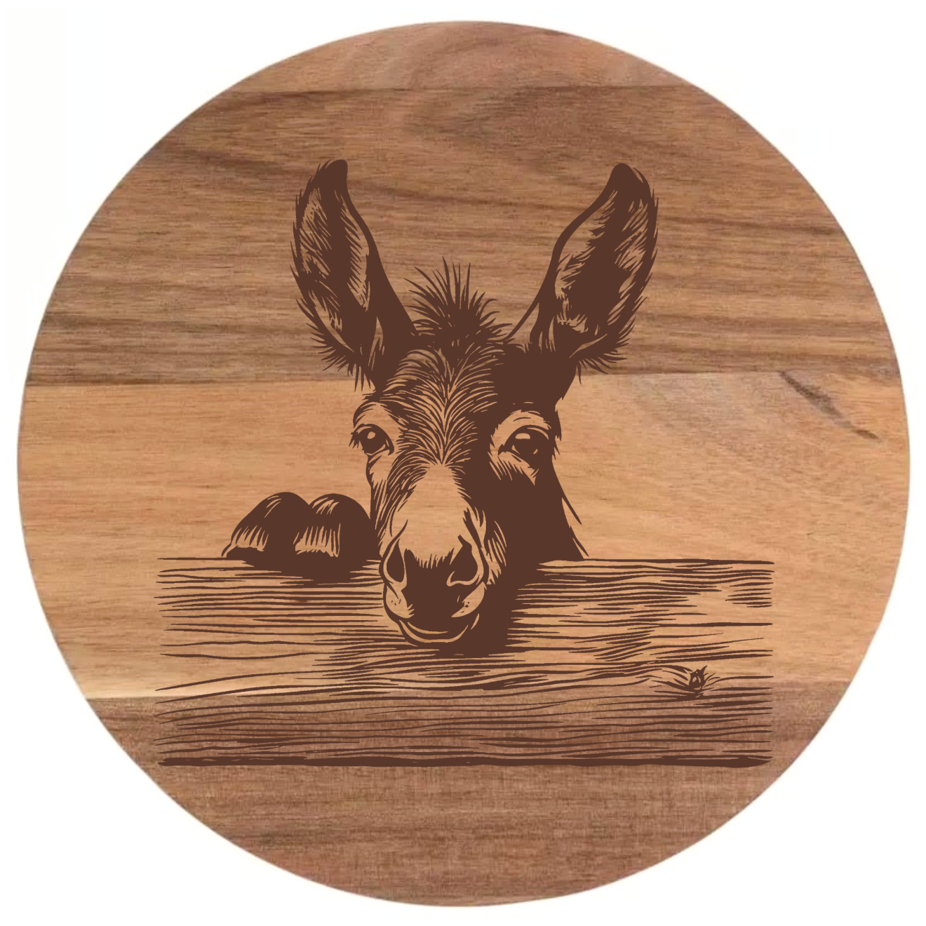 Donkey Peering Over Fence Design