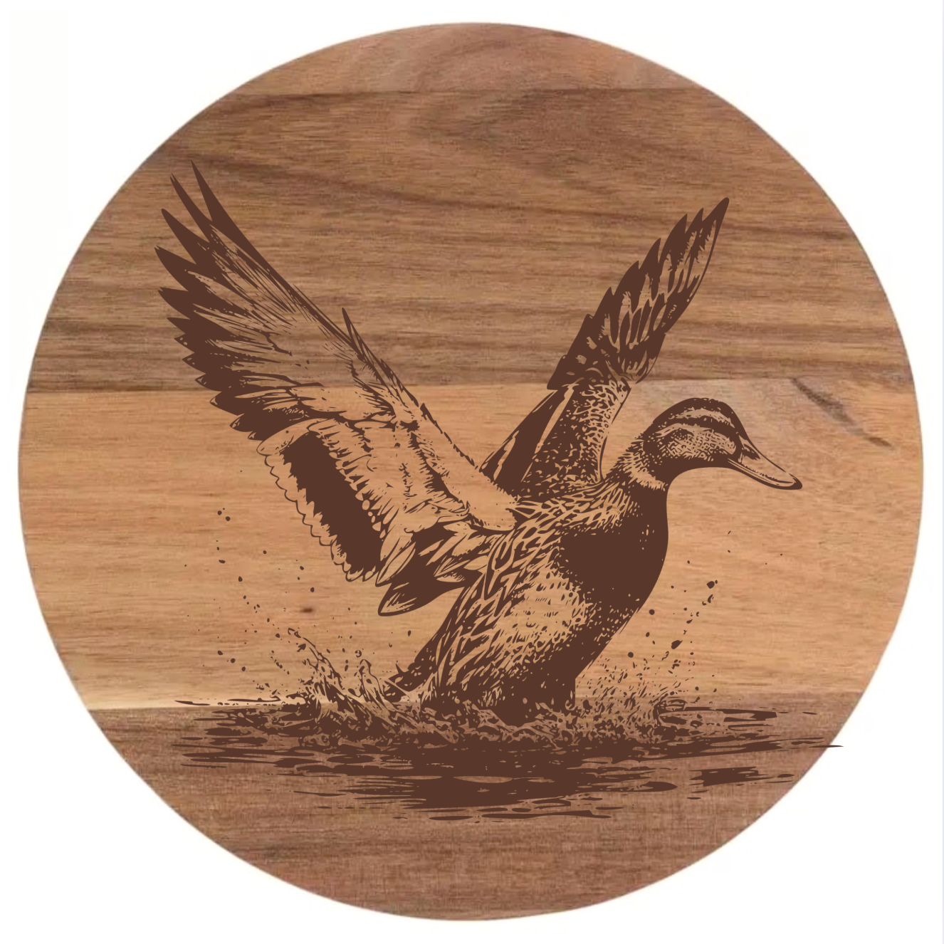 Mallard Duck Takes Flight Design