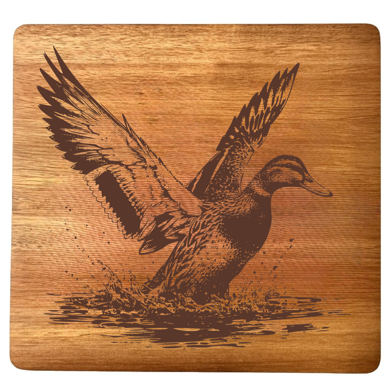 Mallard Duck Takes Flight Design