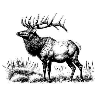 Elk Design
