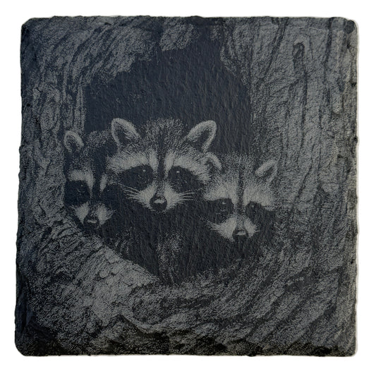 Family of Raccoons Slate Coaster