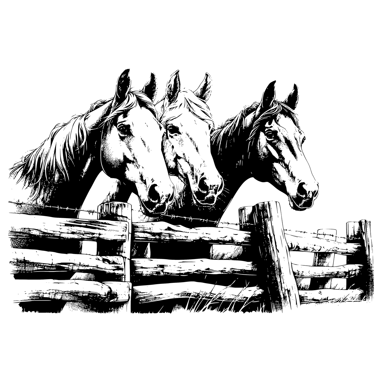 Trio of Horses Design