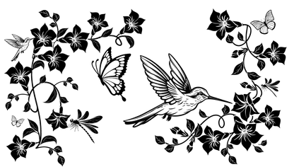 Hummingbird Design