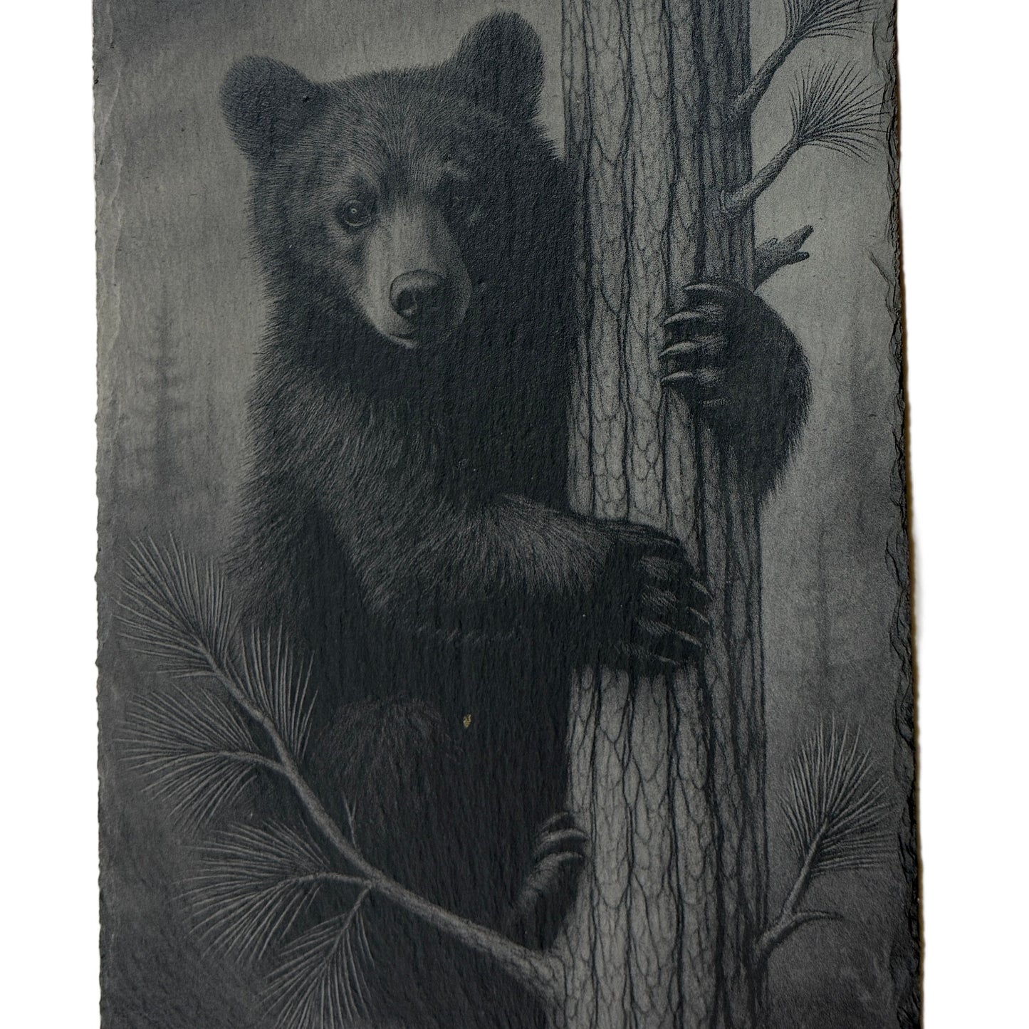 Bear Cub Hot Plate / Charcuterie Board