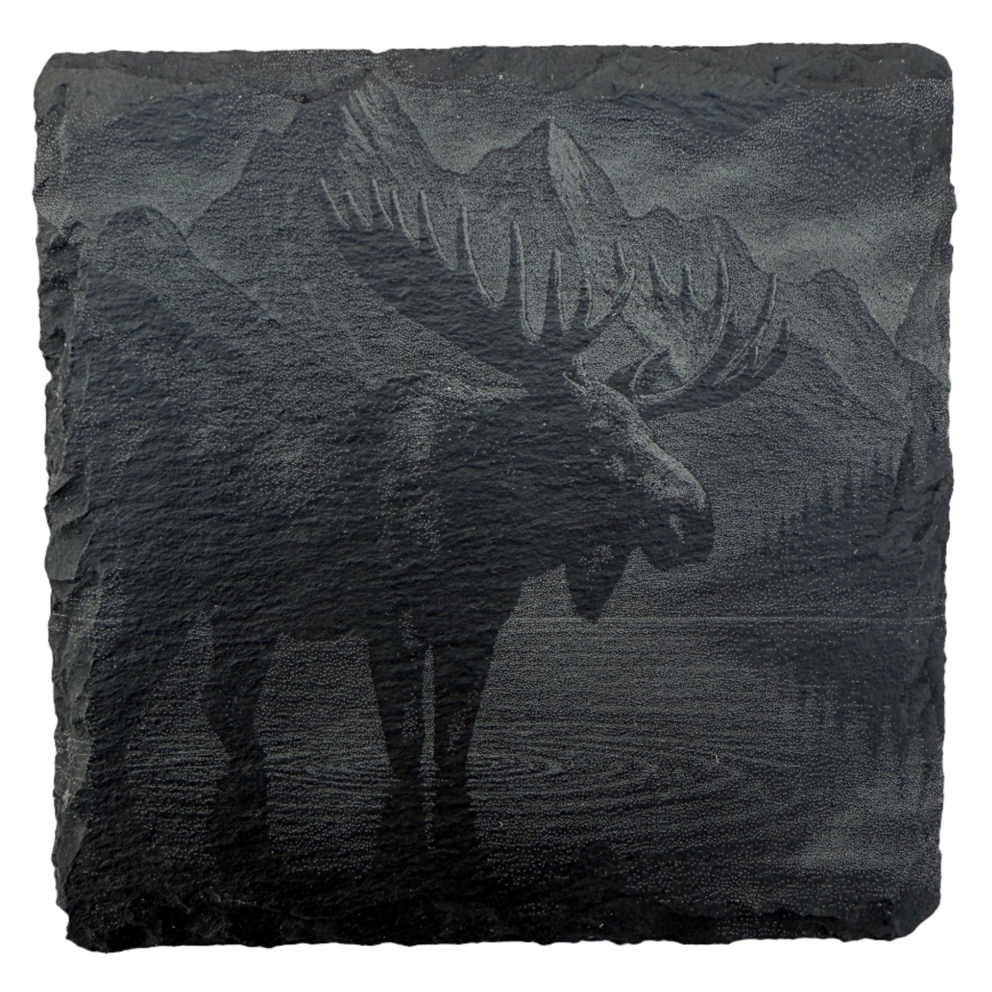 Wildlife Slate Coasters - Mix & Match Bundle (Set of 4)