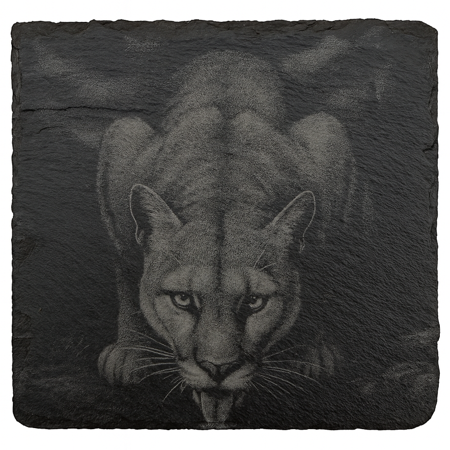 Wildlife Slate Coasters - Mix & Match Bundle (Set of 4)