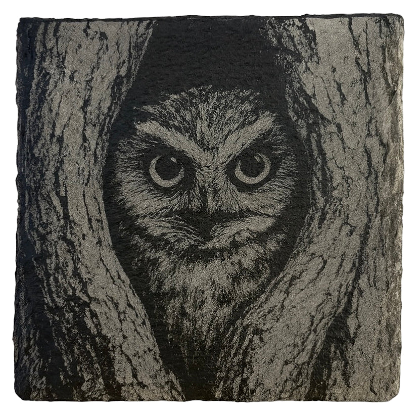 Wildlife Slate Coasters - Mix & Match Bundle (Set of 4)