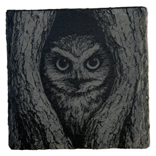 Owl Slate Coaster
