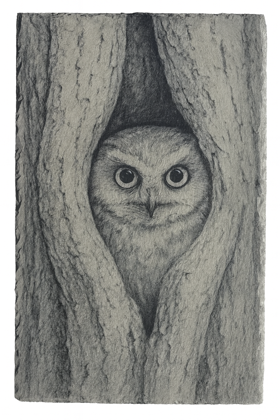 Owl Hot Plate / Charcuterie Board