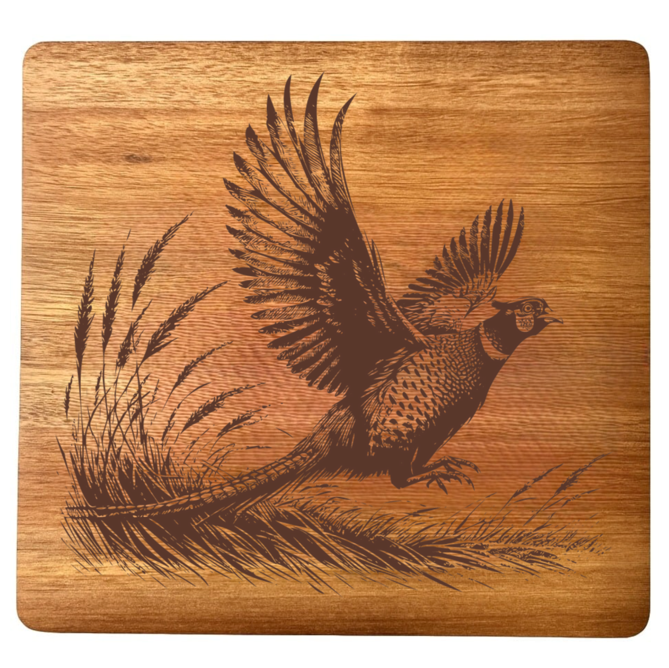 Ring-Necked Pheasant In Flight Design