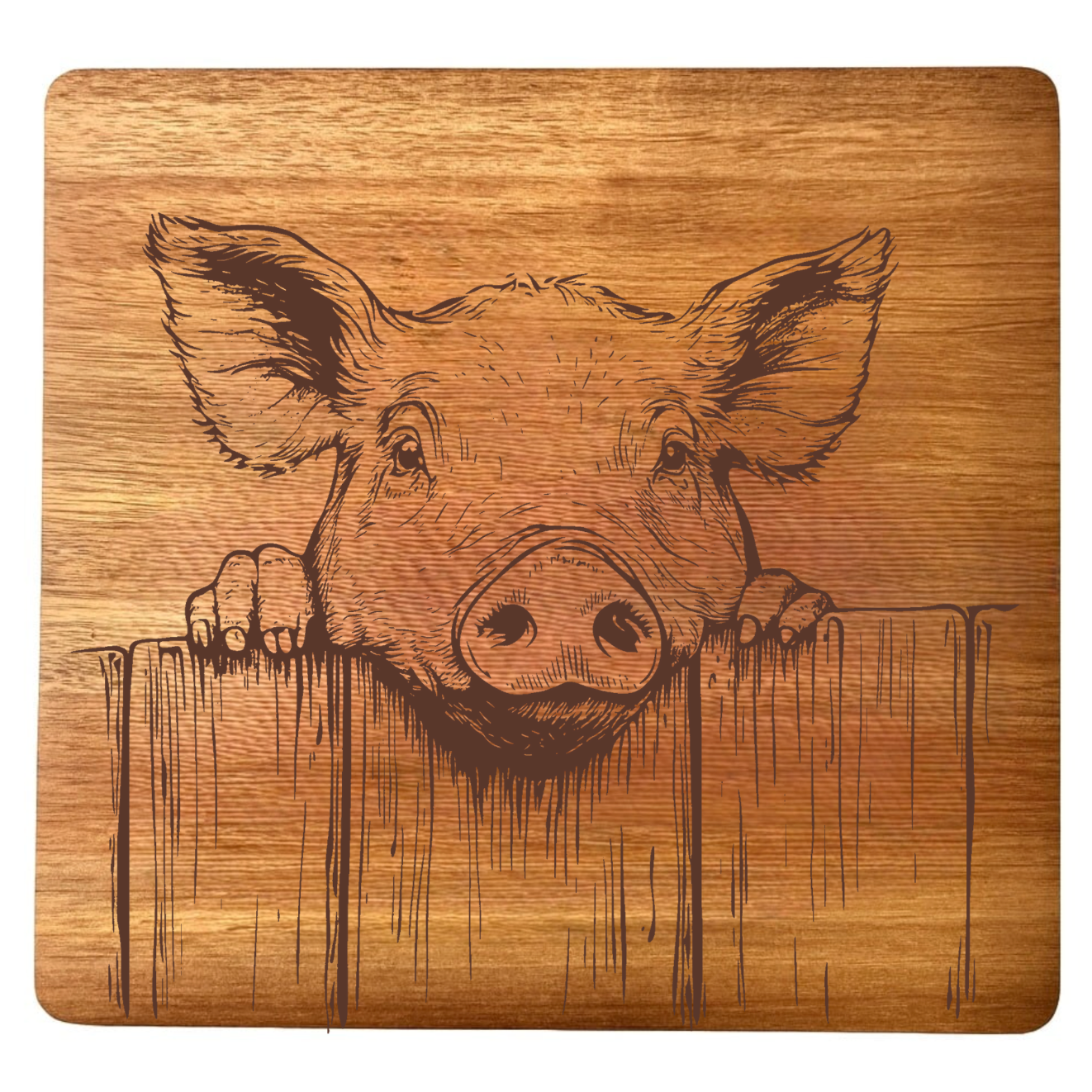 Pig Peering Over Fence Design