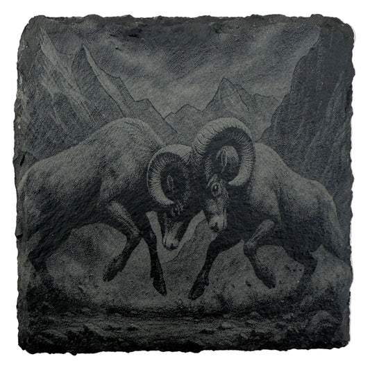 Bighorn Sheep Slate Coaster