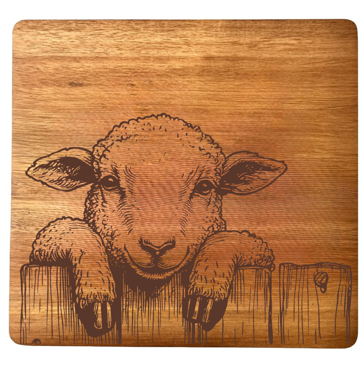 Sheep Peering Over Fence Design