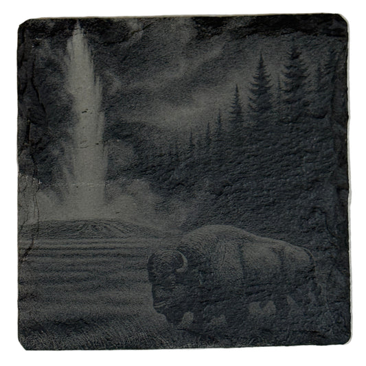 Buffalo Slate Coaster